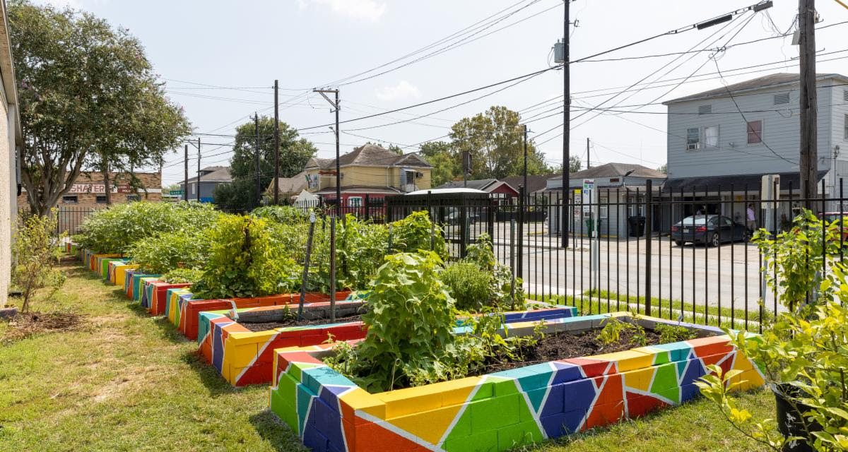 Community Garden, Community Art