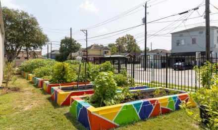 Community Garden, Community Art