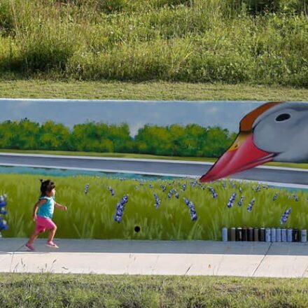 Sims Bayou Trail Mural