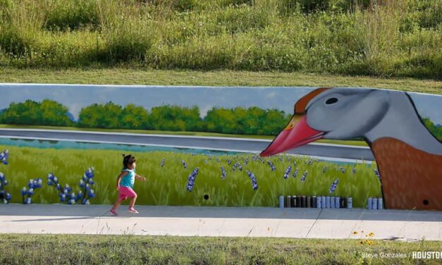 Sims Bayou Trail Mural