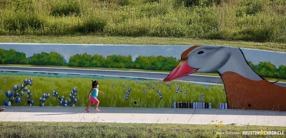 Sims Bayou Trail Mural