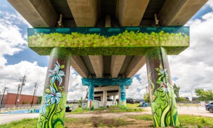 National Geographic Travel: Be inspired by Texas big-city life (Houston street art feature