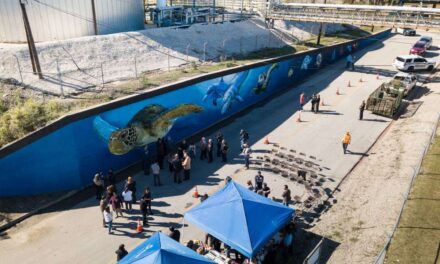 East End aquarium mural seeks to splash color to neighborhood