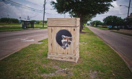 Beautify the streets of Houston with mini murals created by Texan artists