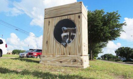 Murals painted on Houston traffic signal control boxes