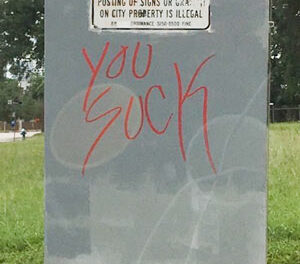 Houston’s Electrifying Insult Art Has Its Critics