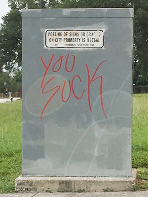 Houston’s Electrifying Insult Art Has Its Critics