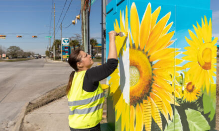 Dazzling street-level art brightens the District landscape