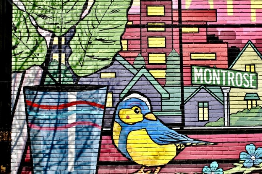 Houston unveils mural map, Northwest Assistance Ministries seeks volunteers: News from the metro