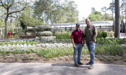 March 10-23: Learn about gardening, local artists at these northwest Houston area events