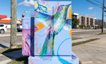 Have you seen the new mini murals in Houston? They have an important phone number on them