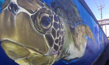WATCH: Massive Mural Of Underwater Sea Life Pops Up In The East End